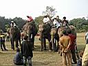 Chitwan Jungle Safari 09.JPG
